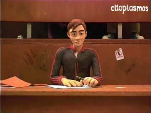 Citoplasmas en medio ácido (2005) 4’
