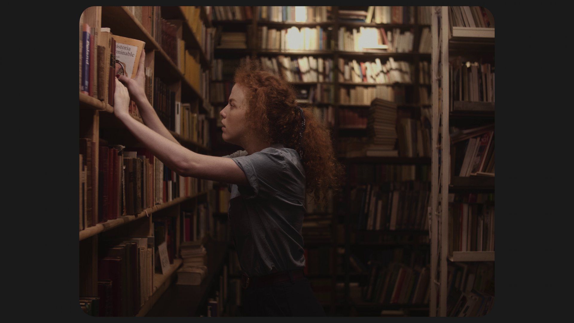 El llibre